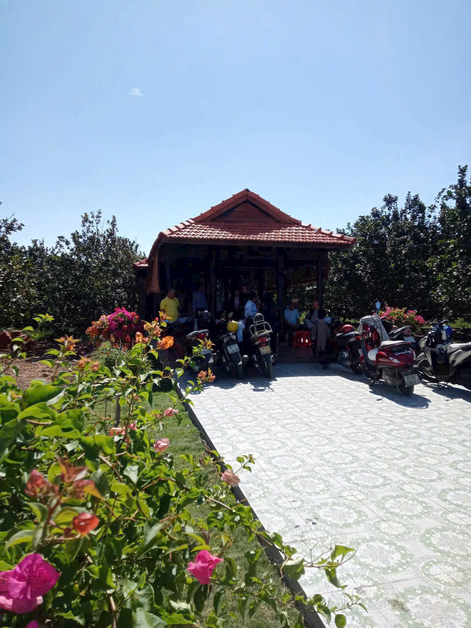 Cần bán Đất đường ĐT 750, Xã Trừ Văn Thố, Diện tích 250m², Giá 800.000.000 Triệu 2