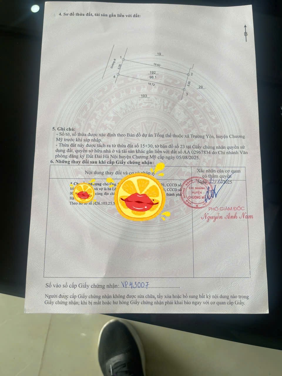 LÔ ĐẤT 98,1M FULL THỔ CƯ TẠI TÂN YÊN, TRƯỜNG YÊN, CHƯƠNG MỸ, HÀ NỘI 3