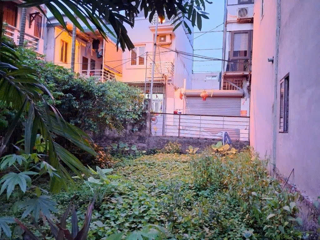 Cần bán Đất đường Vĩnh Hưng, Phường Vĩnh Hưng, Diện tích 77m², Giá 11.6 Tỷ 2