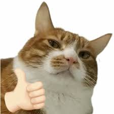 Phố Tôn Đức Thắng 480m2 230 Tỷ GPXD 9 Nổi 1 Hầm Mặt Tiền Đẹp Vỉa Hè Rộng