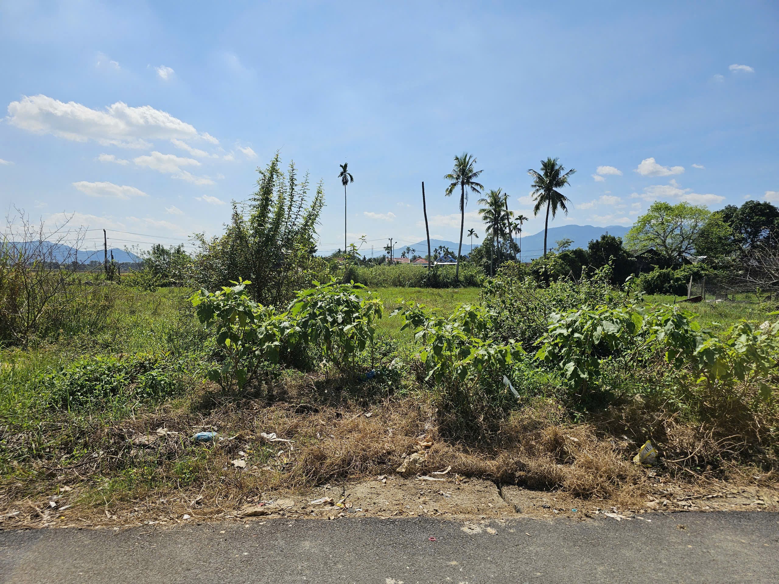 Bán đất Diên Hoà thôn Lạc Lợi full thổ cư mặt đường nhựa thông - xung quanh dân cư đông 3