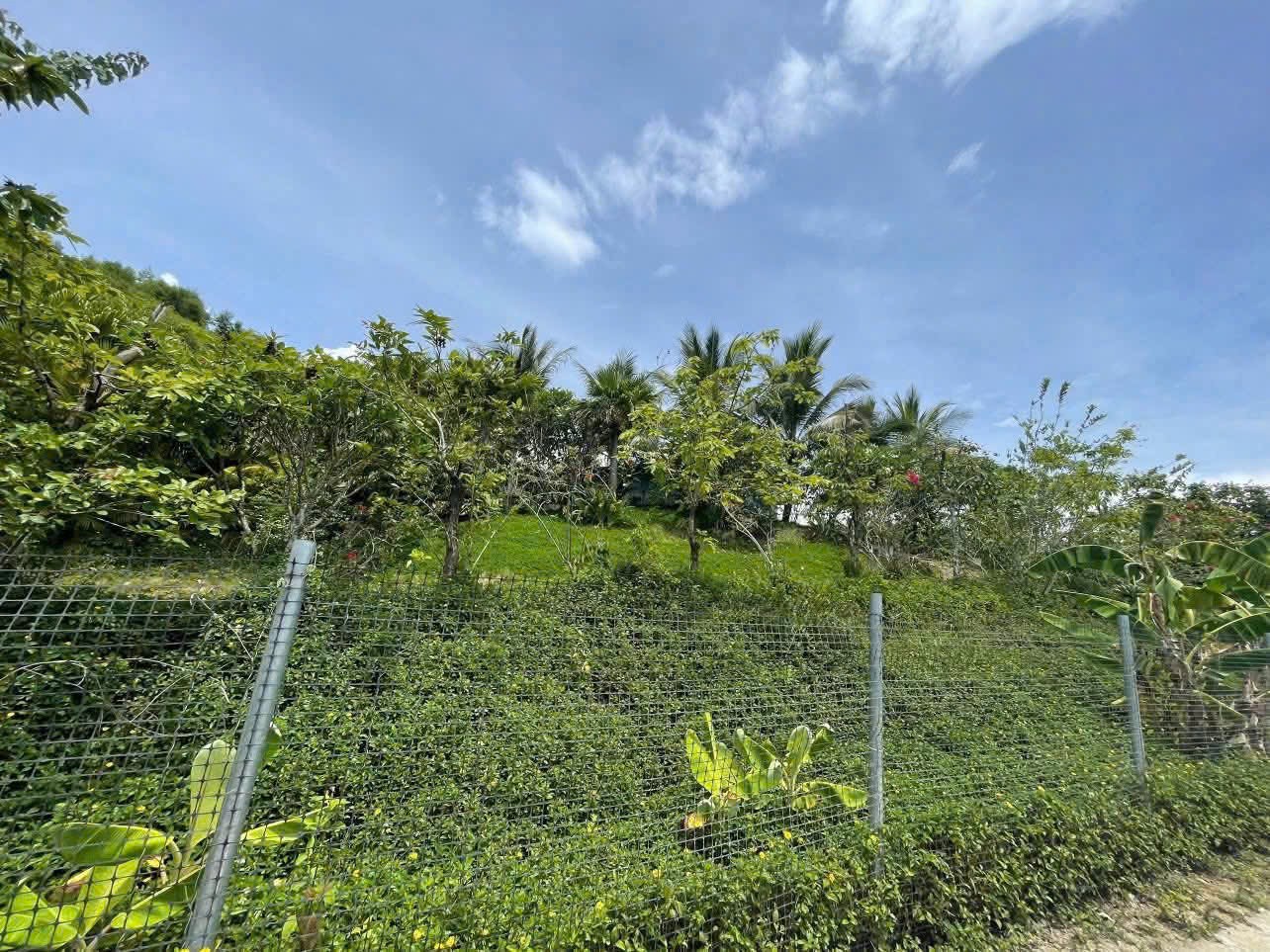 Bán Farm Khánh Phú đã lên mô hình khai thác ổn định - QH full thổ cư gần Quốc Lộ 27C 4