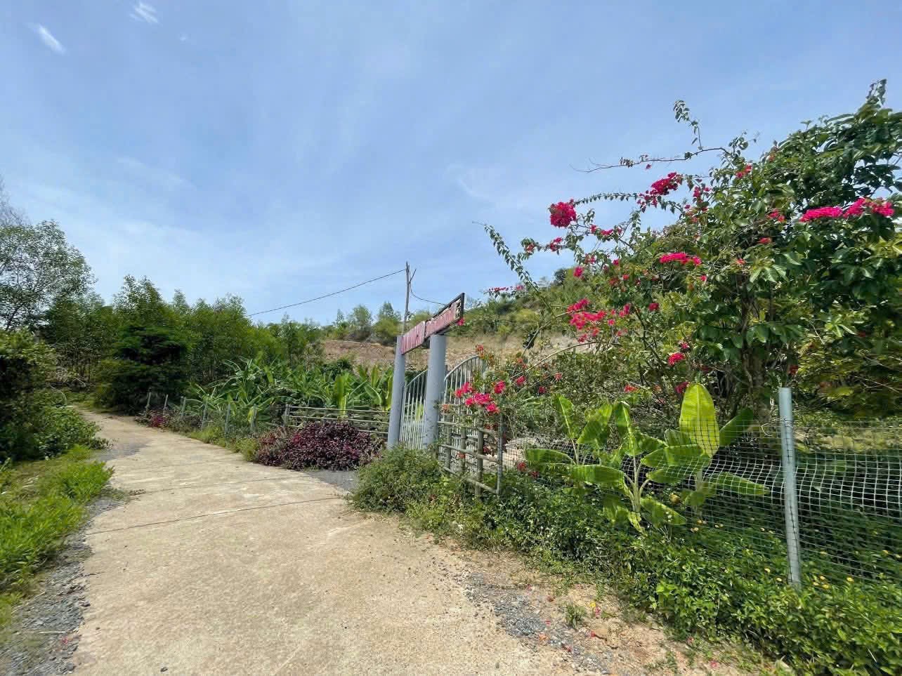 Bán Farm Khánh Phú đã lên mô hình khai thác ổn định - QH full thổ cư gần Quốc Lộ 27C 6