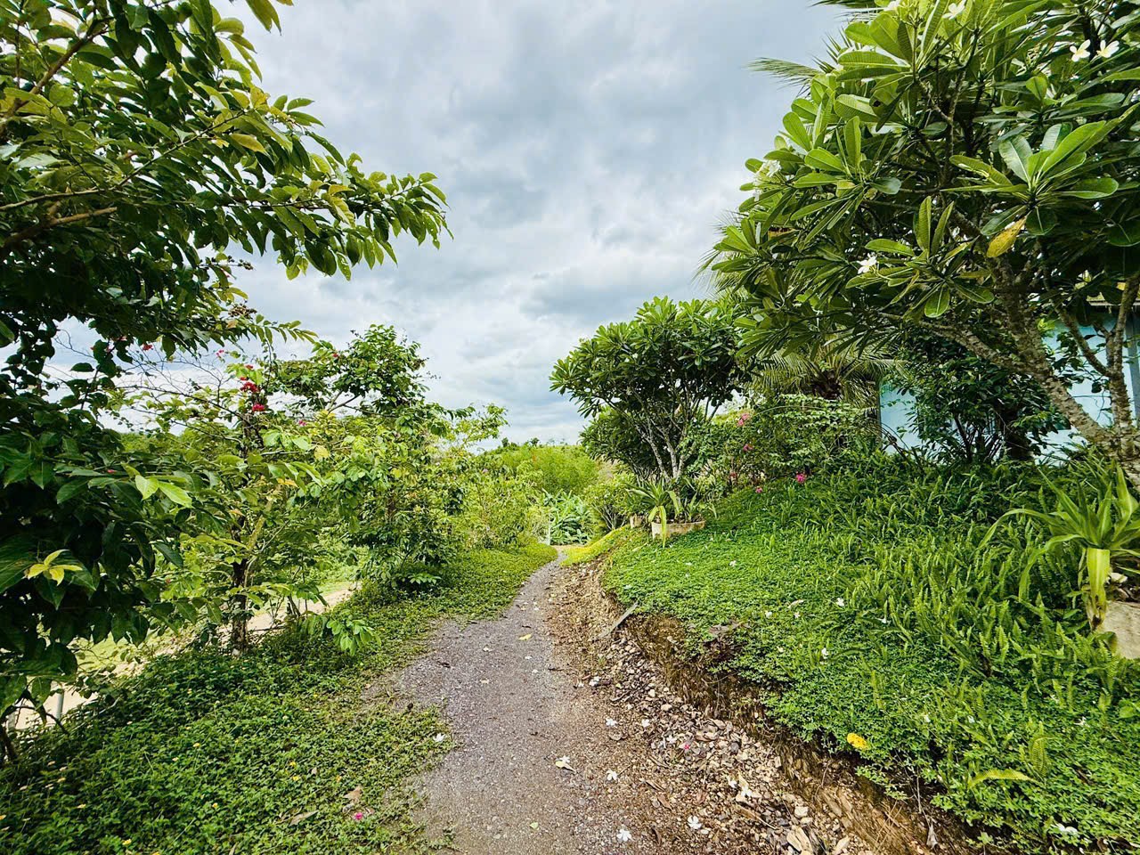 Bán Farm Khánh Phú đã lên mô hình khai thác ổn định - QH full thổ cư gần Quốc Lộ 27C 7