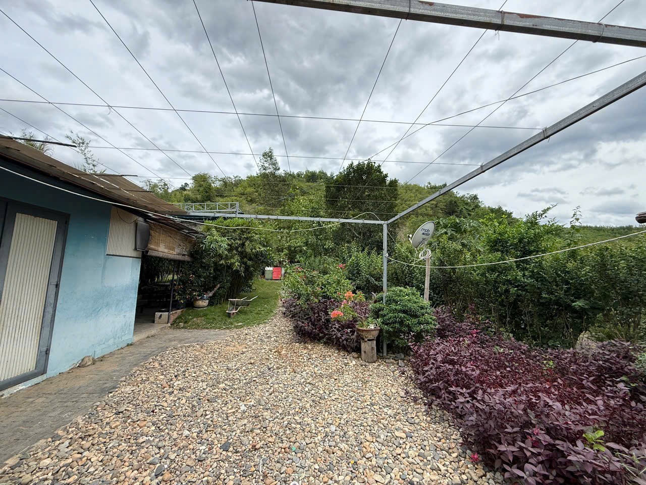 Bán Farm Khánh Phú đã lên mô hình khai thác ổn định - QH full thổ cư gần Quốc Lộ 27C 9