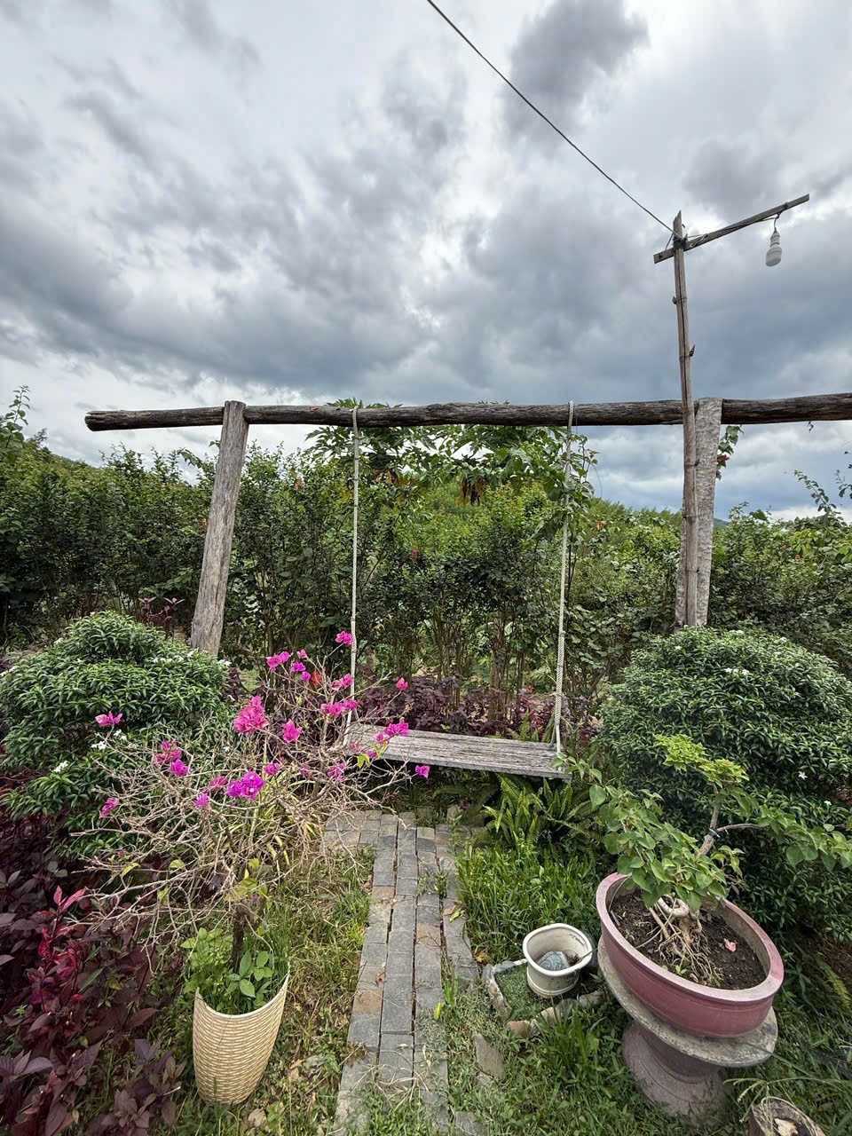 Bán Farm Khánh Phú đã lên mô hình khai thác ổn định - QH full thổ cư gần Quốc Lộ 27C 12