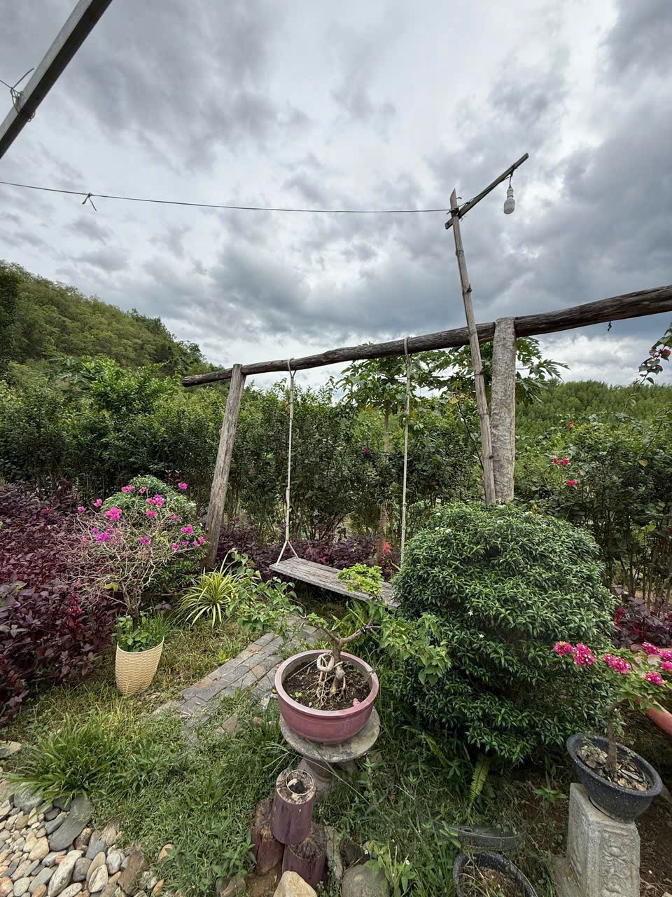 Bán Farm Khánh Phú đã lên mô hình khai thác ổn định - QH full thổ cư gần Quốc Lộ 27C 13