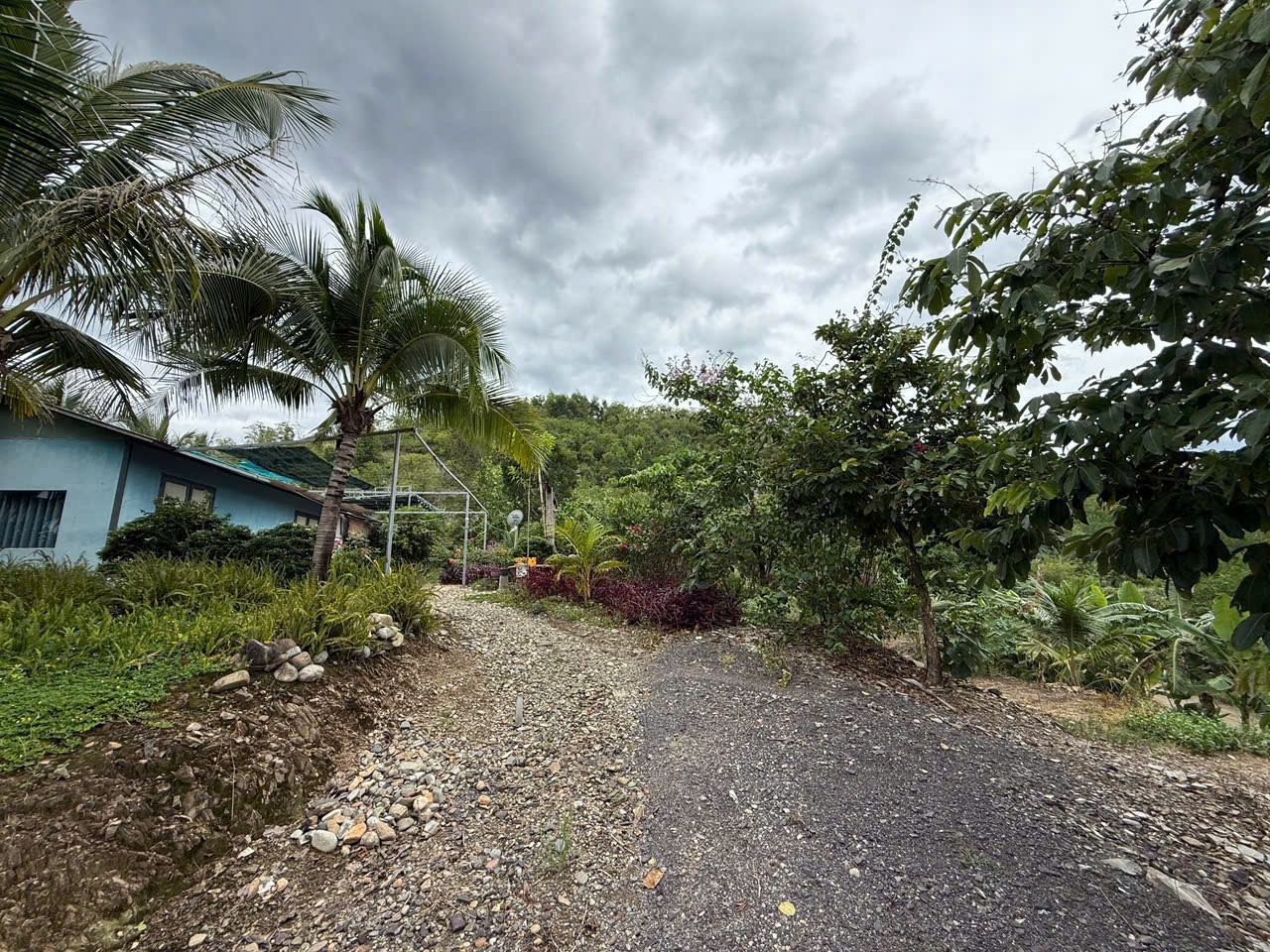 Bán Farm Khánh Phú đã lên mô hình khai thác ổn định - QH full thổ cư gần Quốc Lộ 27C 14