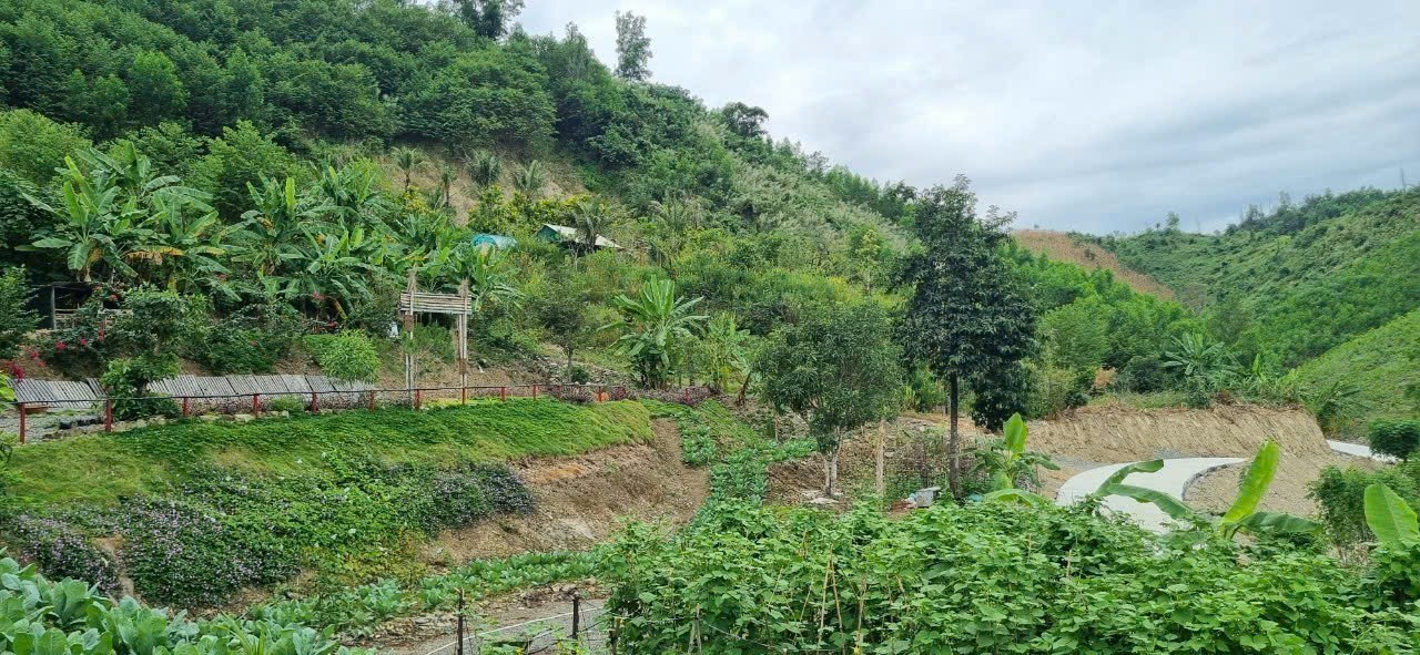 Bán Farm Khánh Phú đã lên mô hình khai thác ổn định - QH full thổ cư gần Quốc Lộ 27C 18