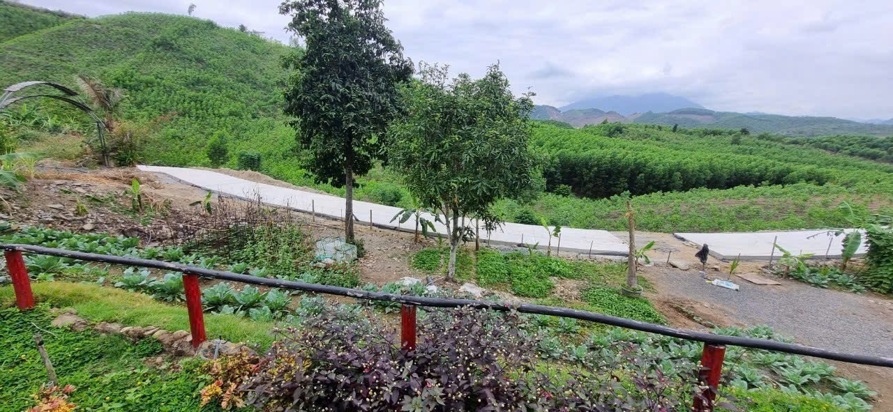 Bán Farm Khánh Phú đã lên mô hình khai thác ổn định - QH full thổ cư gần Quốc Lộ 27C 19