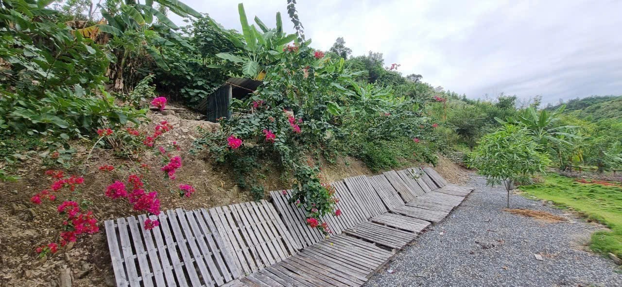 Bán Farm Khánh Phú đã lên mô hình khai thác ổn định - QH full thổ cư gần Quốc Lộ 27C 23