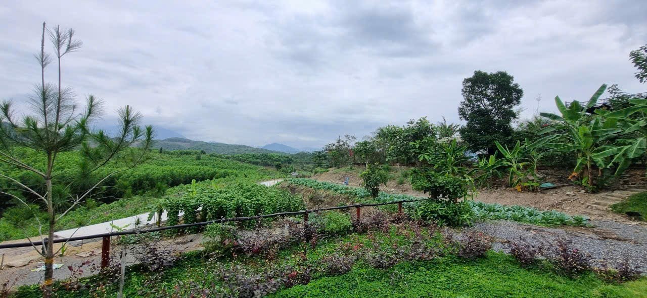 Bán Farm Khánh Phú đã lên mô hình khai thác ổn định - QH full thổ cư gần Quốc Lộ 27C 25