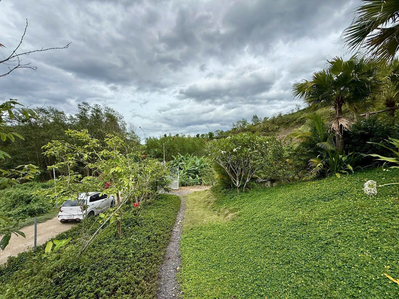 Bán Farm Khánh Phú đã lên mô hình khai thác ổn định - QH full thổ cư gần Quốc Lộ 27C 26