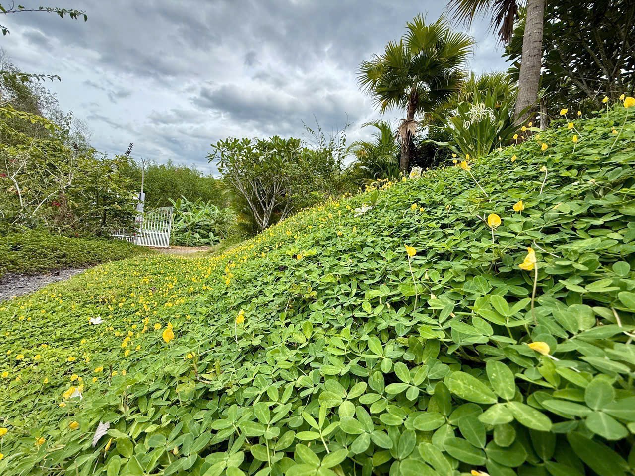 Bán Farm Khánh Phú đã lên mô hình khai thác ổn định - QH full thổ cư gần Quốc Lộ 27C 27