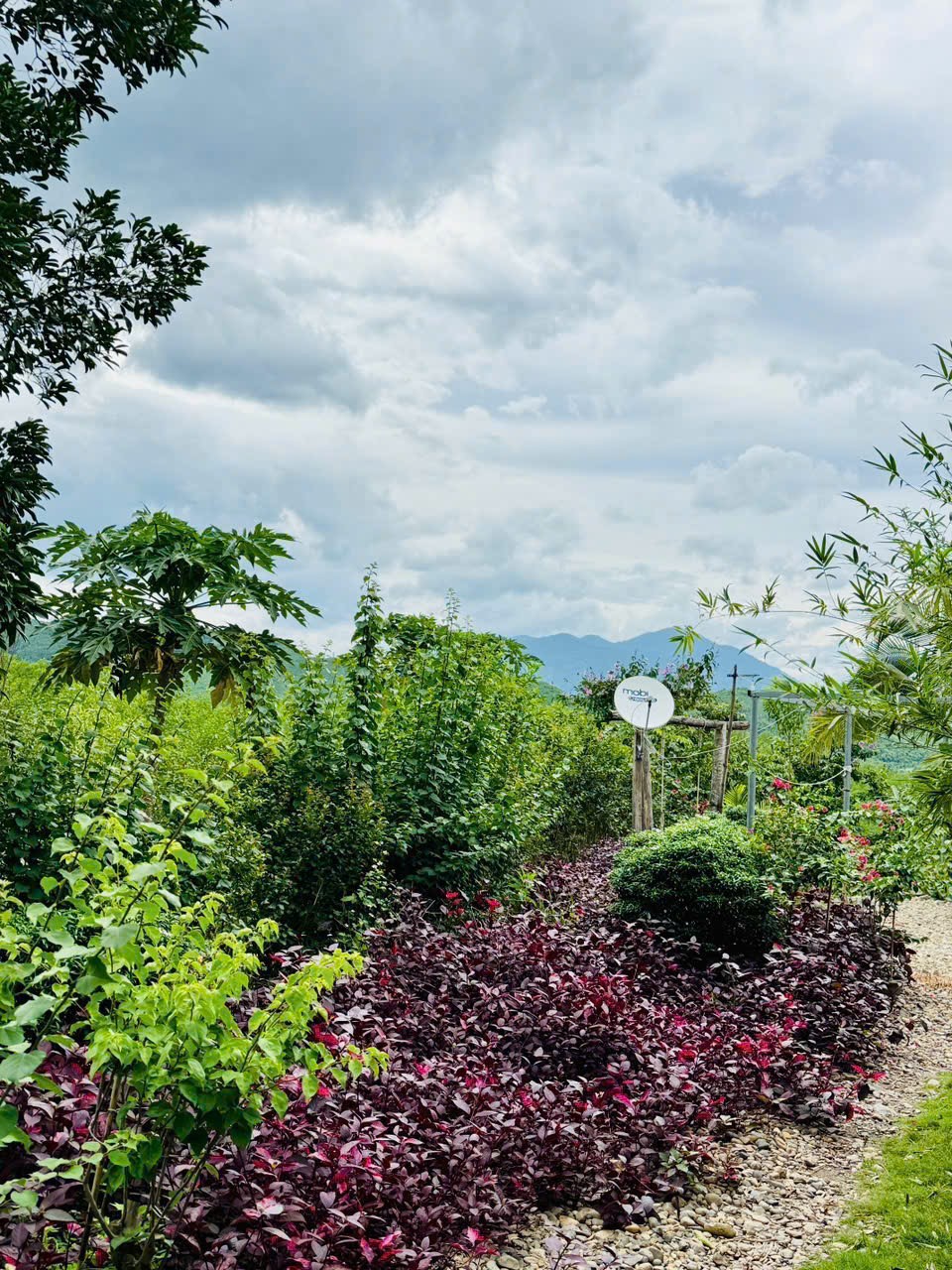 Bán Farm Khánh Phú đã lên mô hình khai thác ổn định - QH full thổ cư gần Quốc Lộ 27C 30