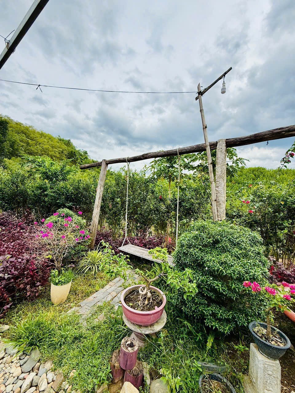 Bán Farm Khánh Phú đã lên mô hình khai thác ổn định - QH full thổ cư gần Quốc Lộ 27C 32