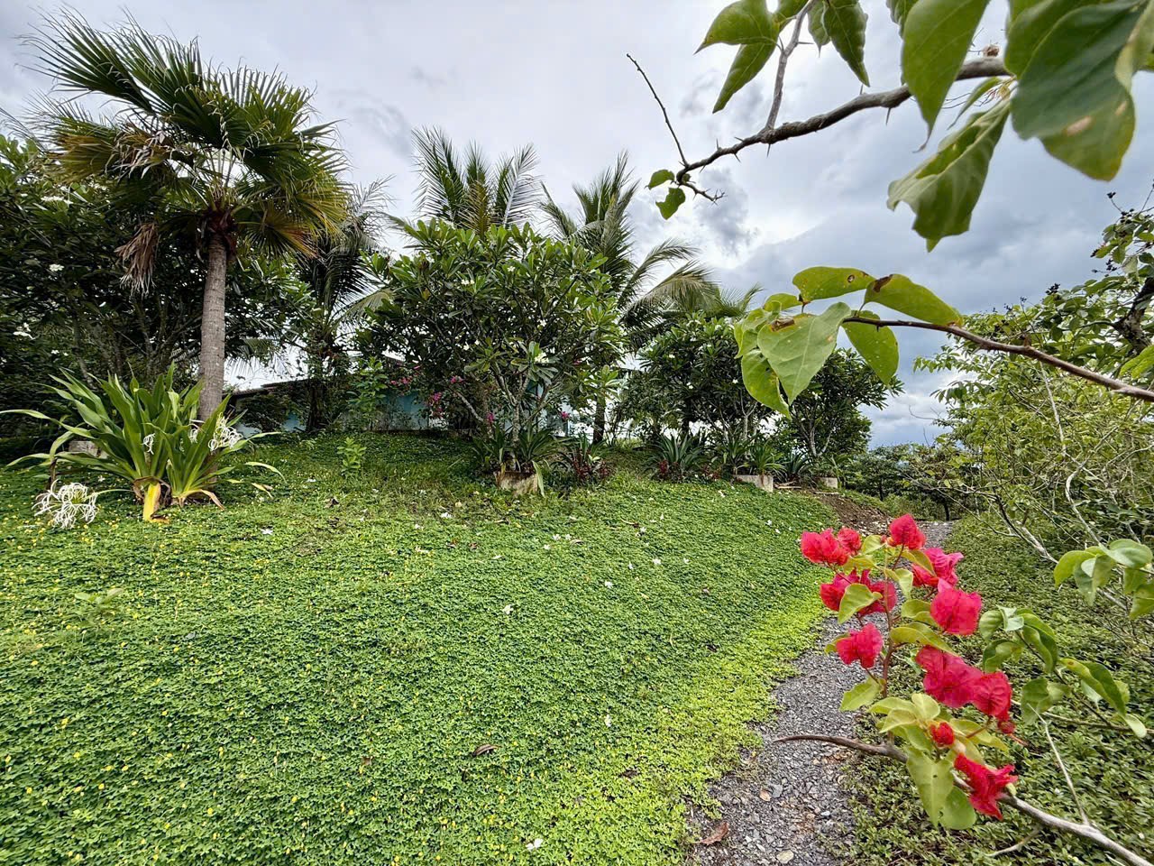 Bán Farm Khánh Phú đã lên mô hình khai thác ổn định - QH full thổ cư gần Quốc Lộ 27C 33