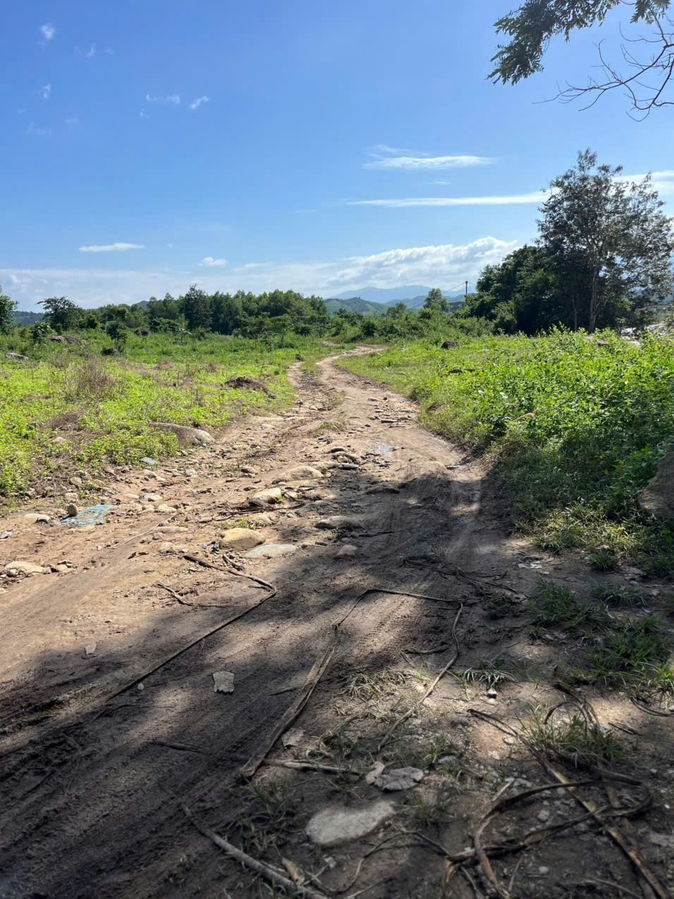 Bán đất vườn Khánh Thượng - Khánh Vĩnh QH full thổ cư giáp sông Mấu cực đẹp 9