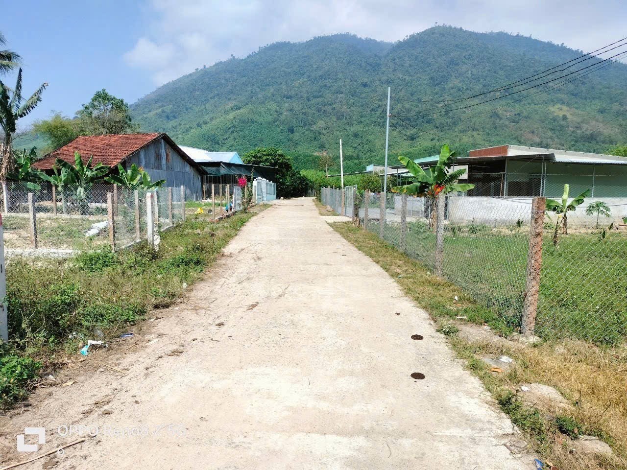 Bán vườn bưởi Khánh Nam giá rẻ sẵn thổ cư gần Tỉnh Lộ 8B 3