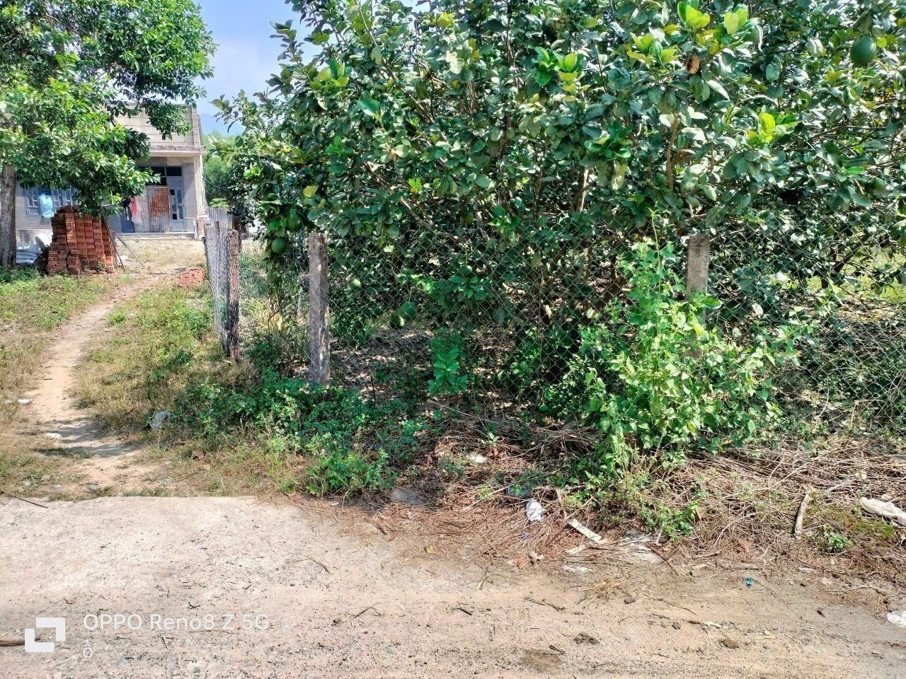 Bán vườn bưởi Khánh Nam giá rẻ sẵn thổ cư gần Tỉnh Lộ 8B