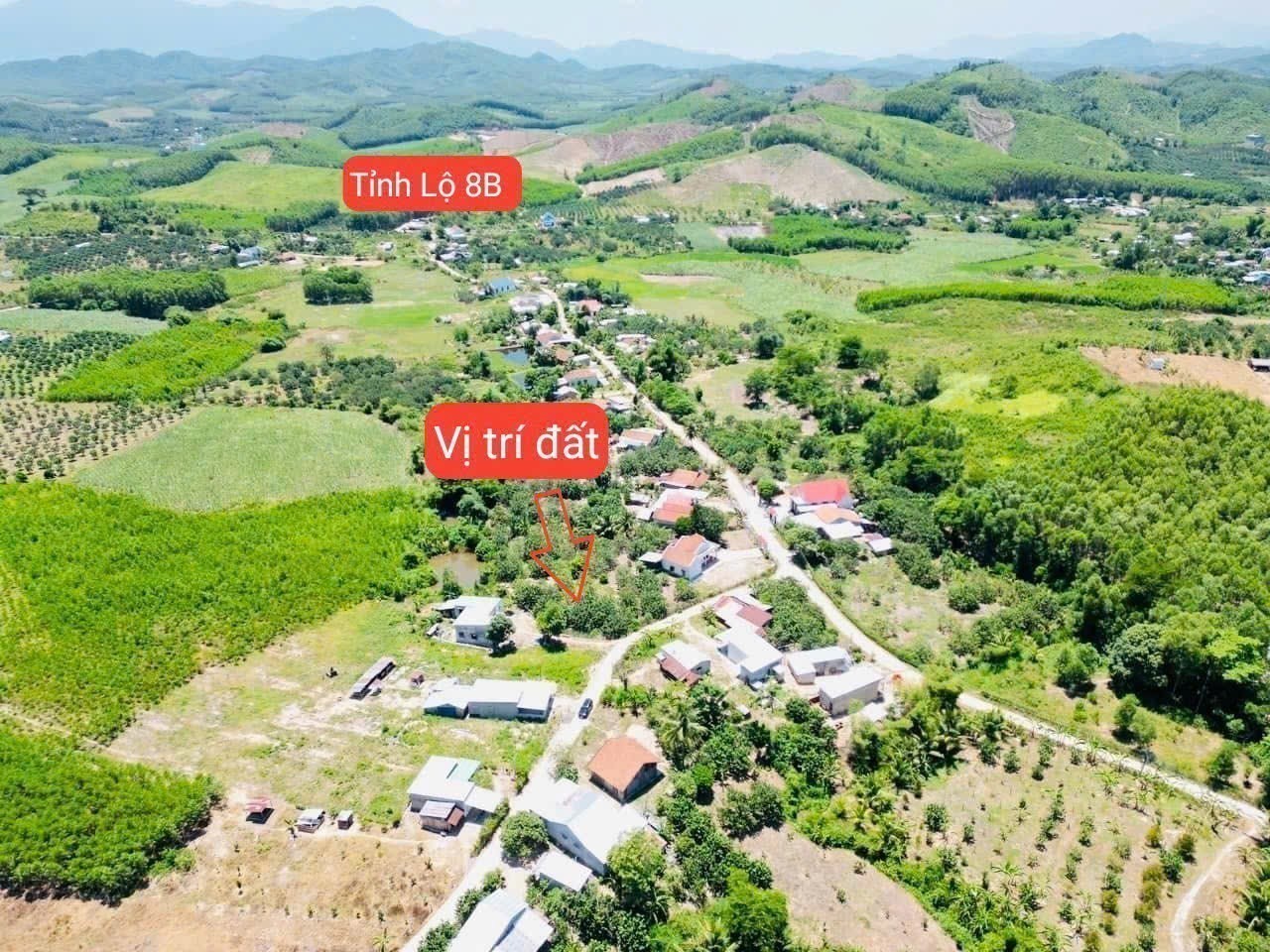 Bán vườn bưởi Khánh Nam giá rẻ sẵn thổ cư gần Tỉnh Lộ 8B 6