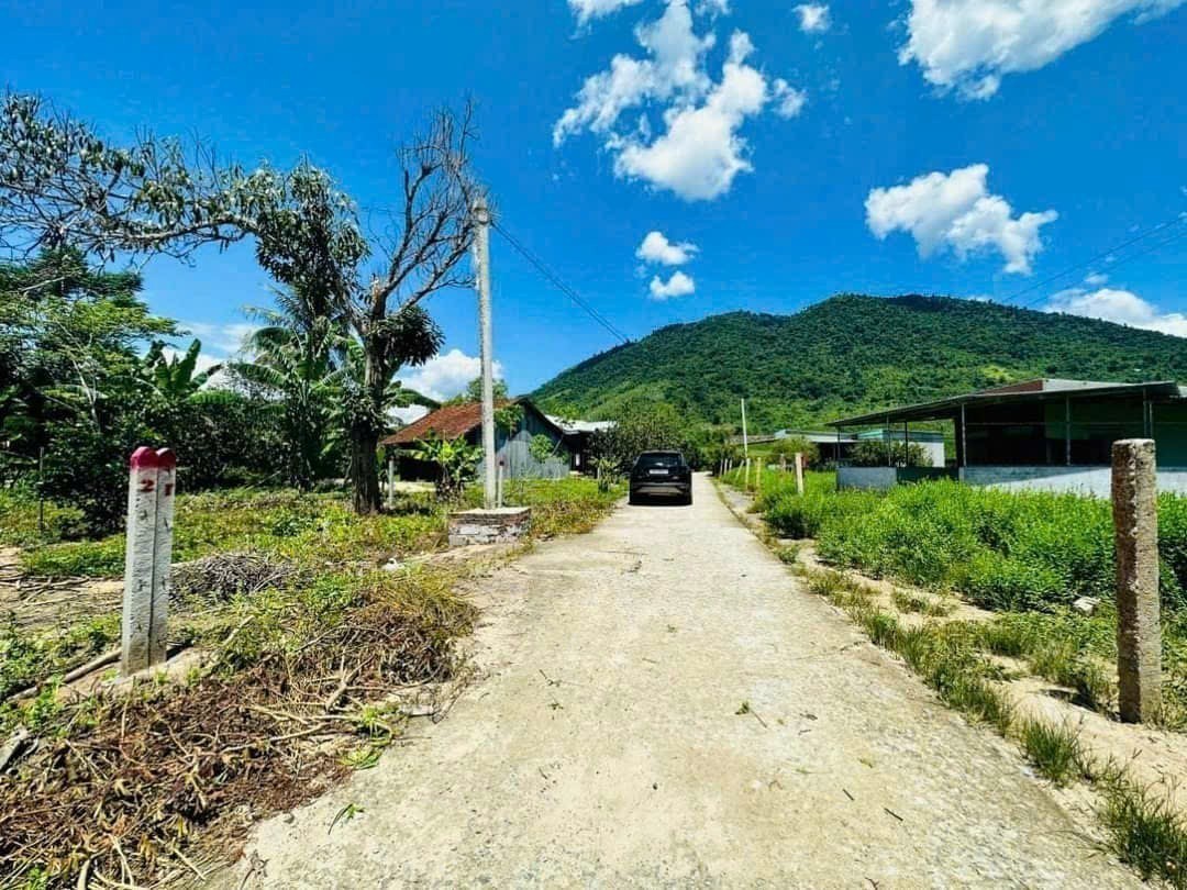 Bán vườn bưởi Khánh Nam giá rẻ sẵn thổ cư gần Tỉnh Lộ 8B 4