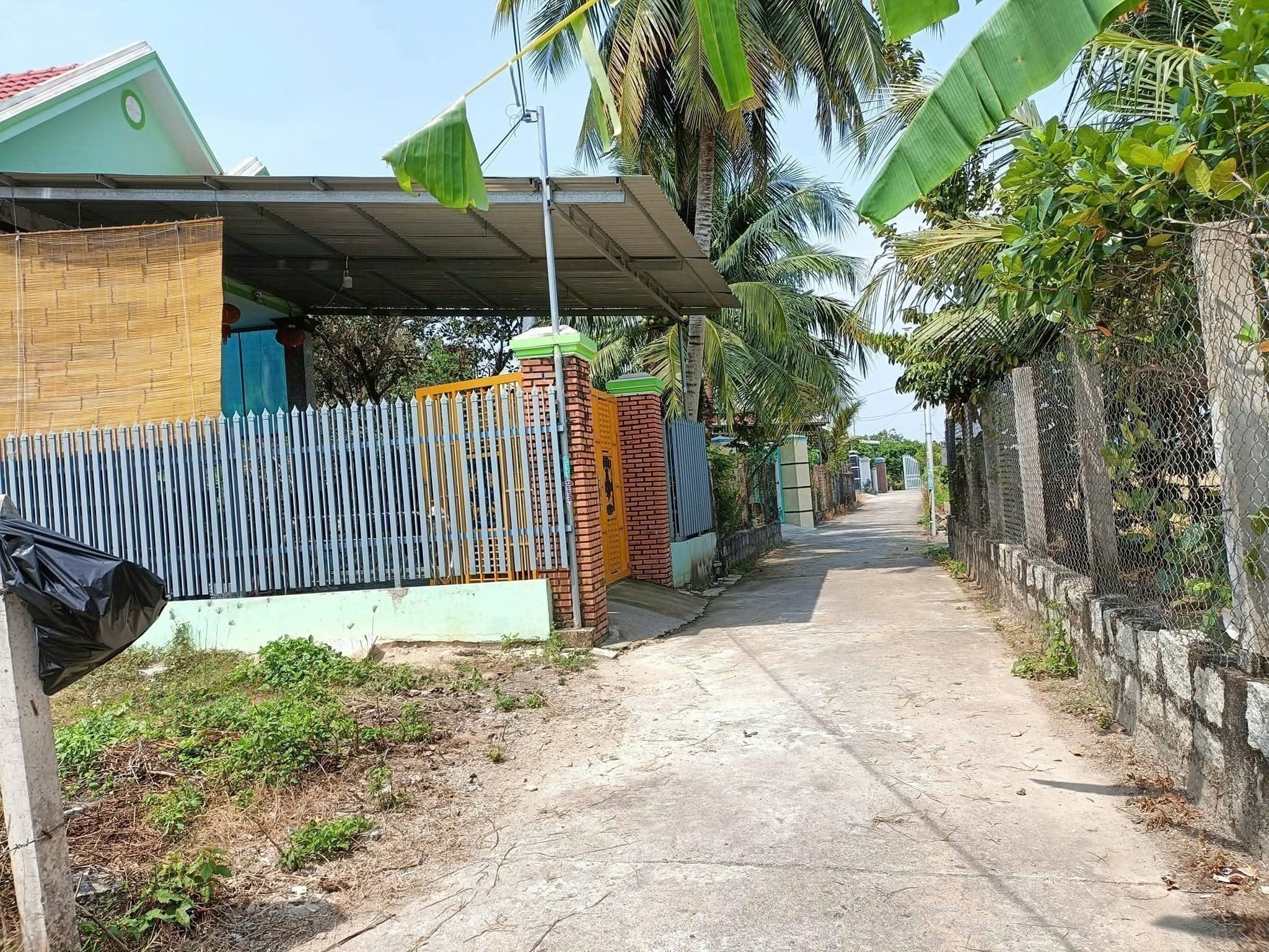 Bán đất Bình Lộc thôn Nghiệp Thành - nguồn gốc đất dân cắt bán view cánh đồng lúa mát mẻ 5