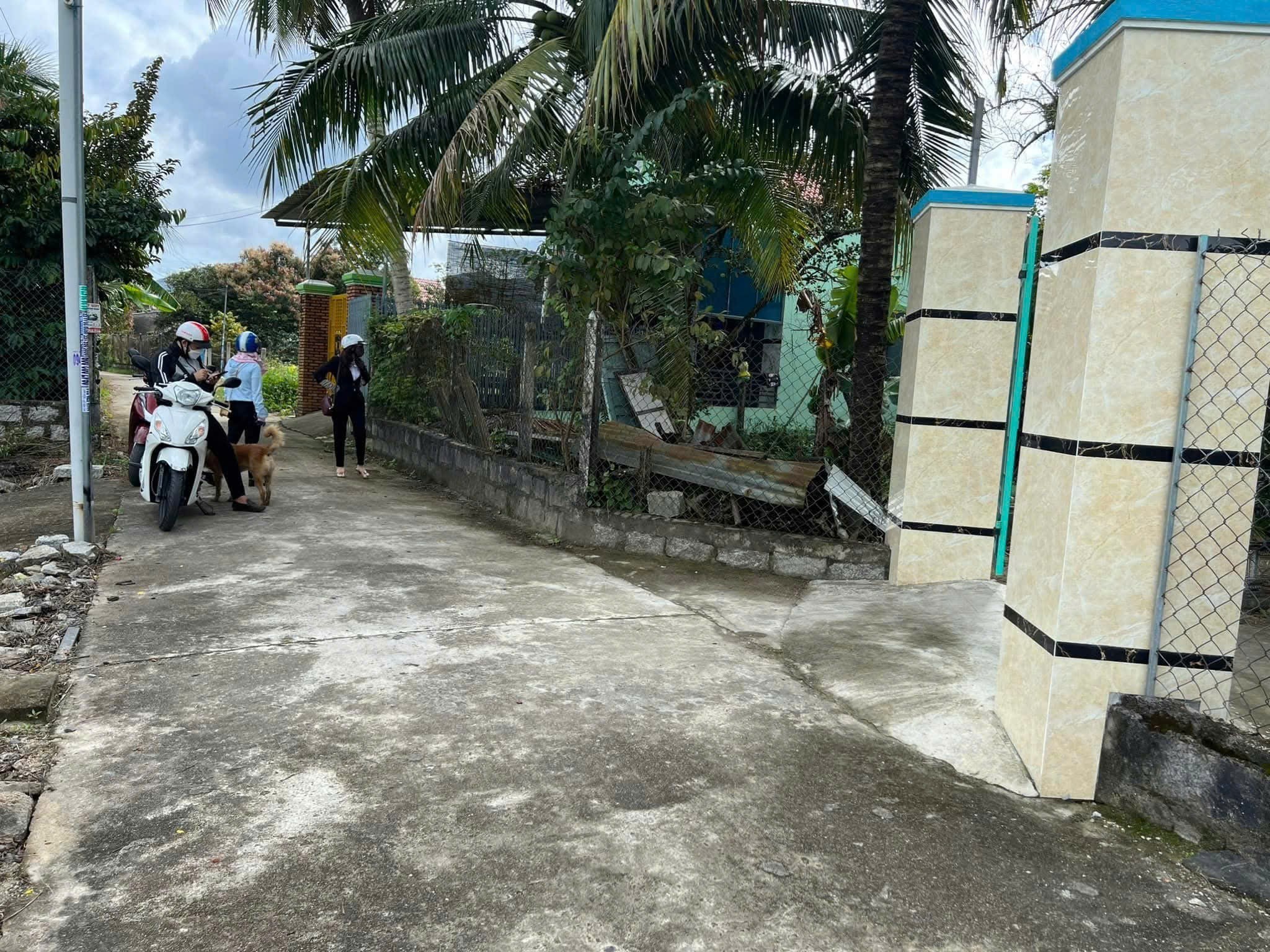 Bán đất Bình Lộc thôn Nghiệp Thành - nguồn gốc đất dân cắt bán view cánh đồng lúa mát mẻ 6