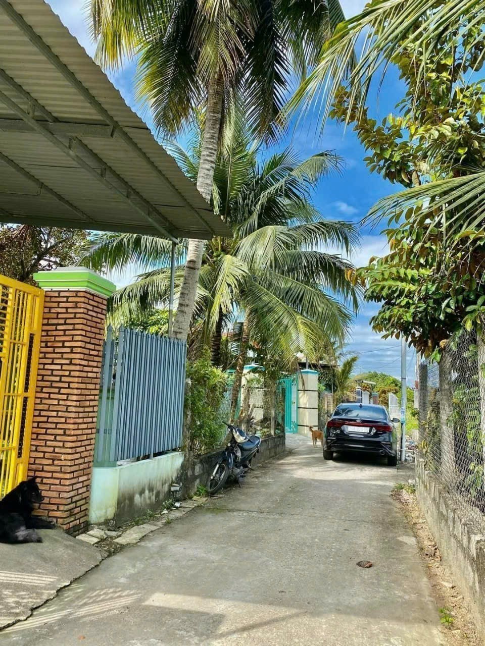 Bán đất Bình Lộc thôn Nghiệp Thành - nguồn gốc đất dân cắt bán view cánh đồng lúa mát mẻ 8