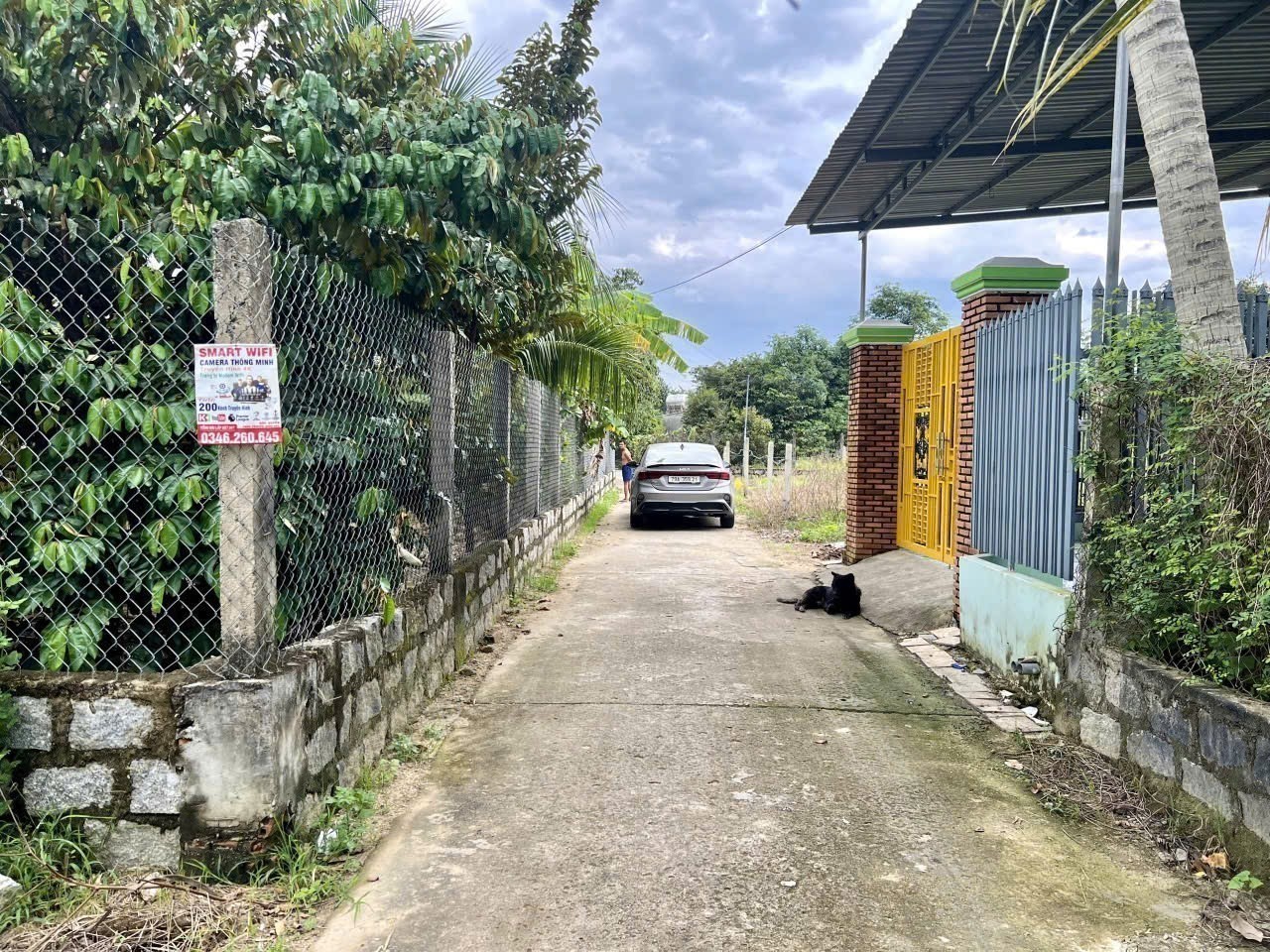 Bán đất Bình Lộc thôn Nghiệp Thành - nguồn gốc đất dân cắt bán view cánh đồng lúa mát mẻ 9