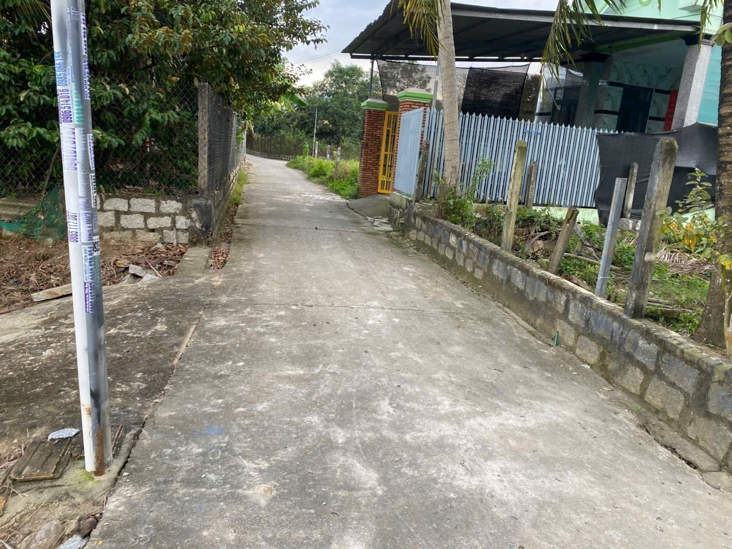 Bán đất Bình Lộc thôn Nghiệp Thành - nguồn gốc đất dân cắt bán view cánh đồng lúa mát mẻ 2