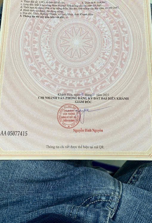 Bán đất Bình Lộc thôn Nghiệp Thành - nguồn gốc đất dân cắt bán view cánh đồng lúa mát mẻ 11