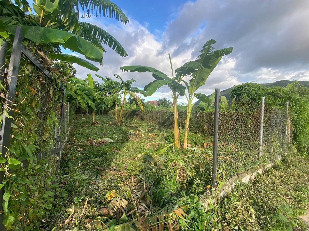 Bán đất Diên Toàn gần chợ thôn Phước Trạch đường thông view cánh đồng mát mẻ 2