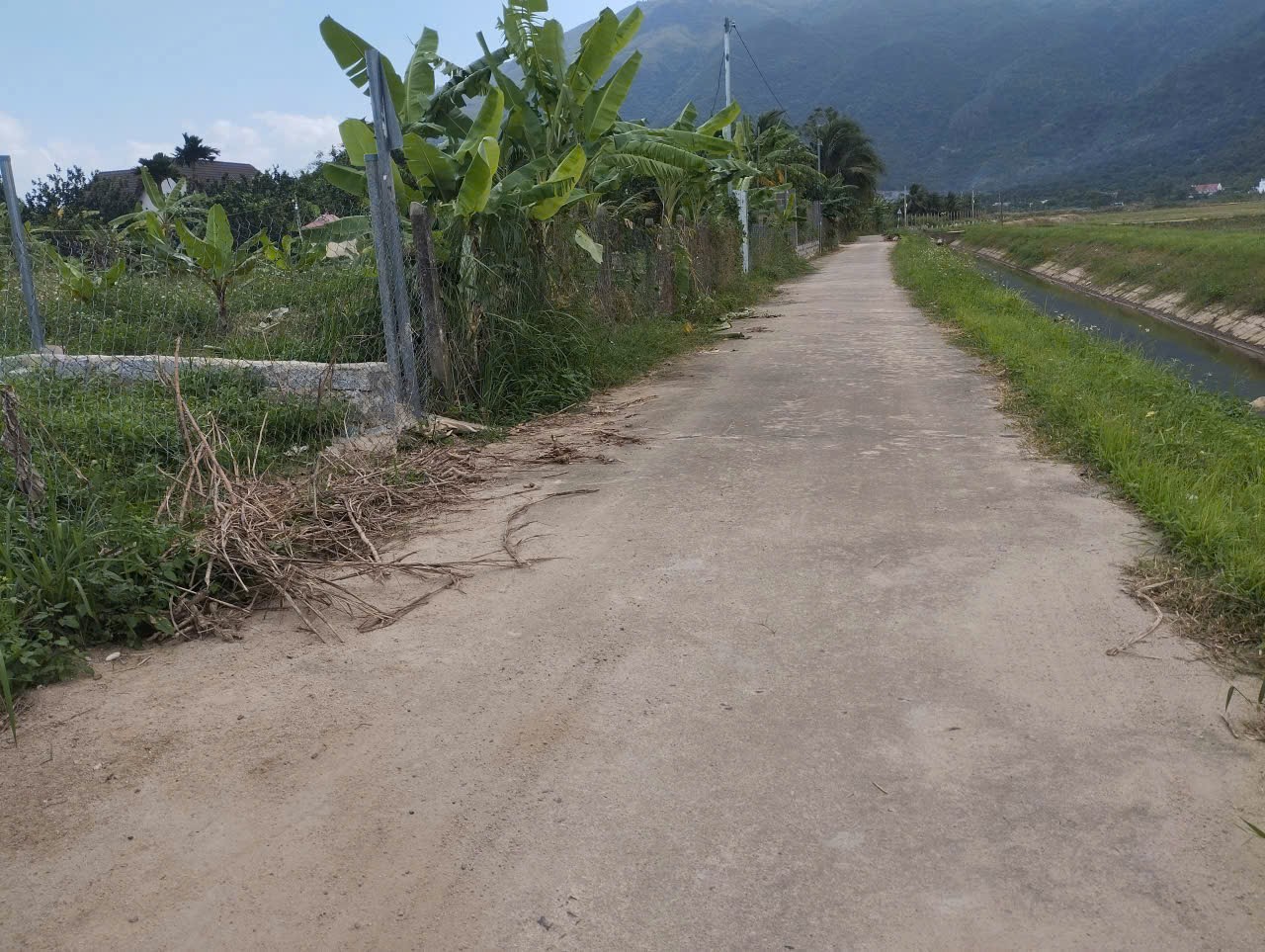 Bán đất Diên Toàn gần chợ thôn Phước Trạch đường thông view cánh đồng mát mẻ 3