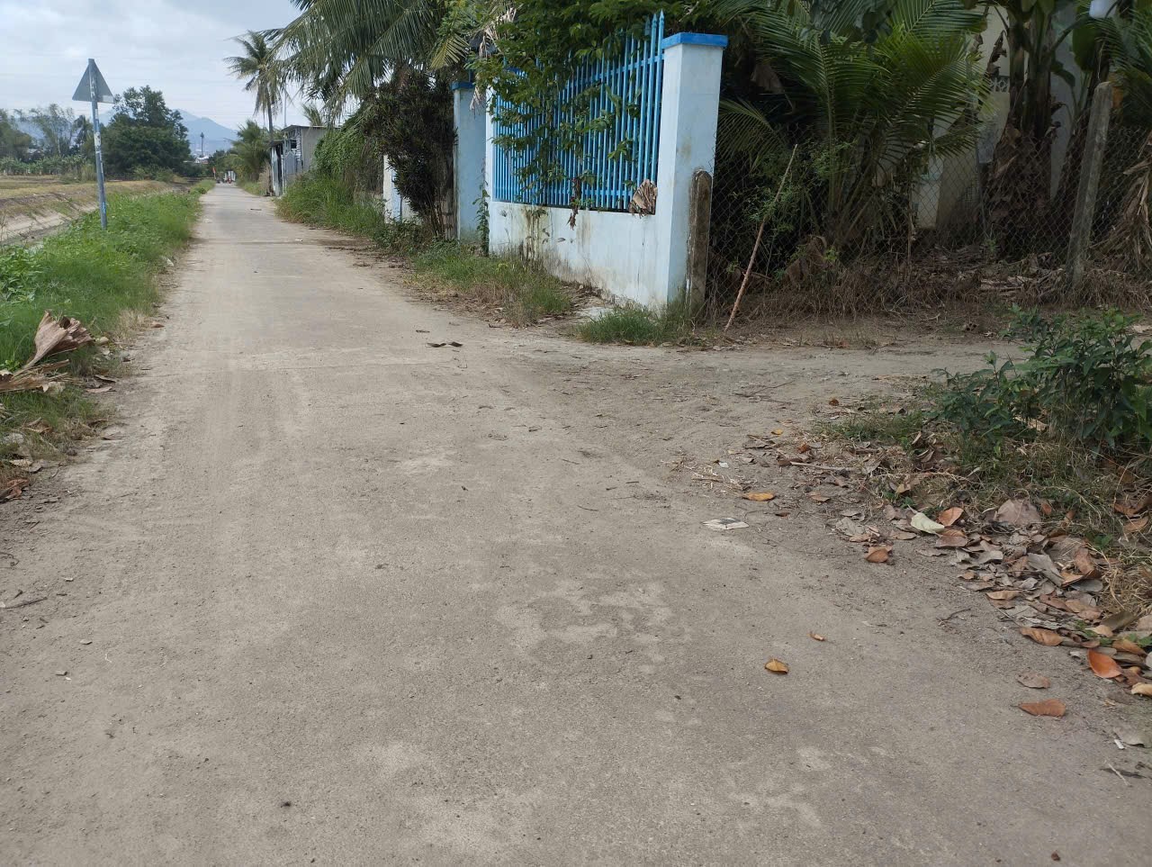 Bán đất Diên Toàn gần chợ thôn Phước Trạch đường thông view cánh đồng mát mẻ 4