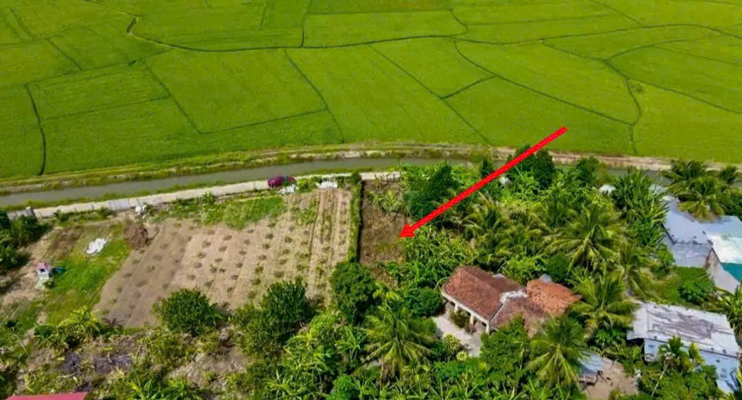 Bán đất Diên Toàn gần chợ thôn Phước Trạch đường thông view cánh đồng mát mẻ 5