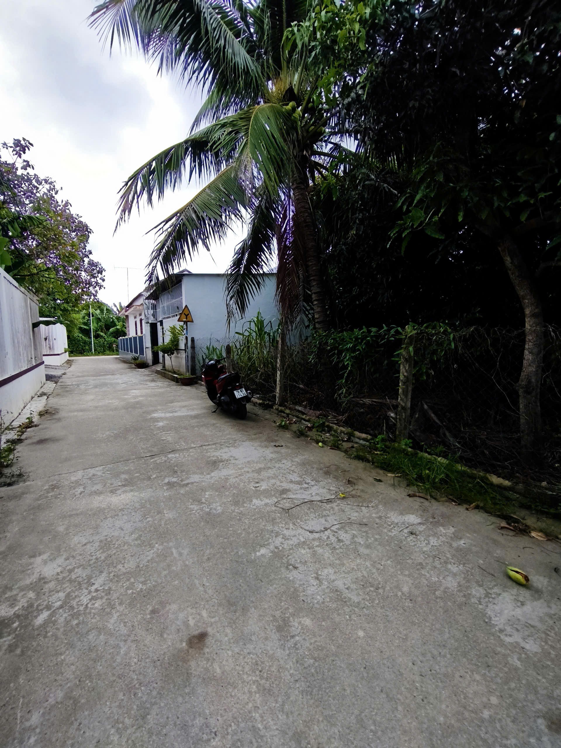 Bán đất Diên An thôn Phú Ân Nam 4 - dân cắt bán đường thông ra 23/10 - bờ kè đang thi công 3