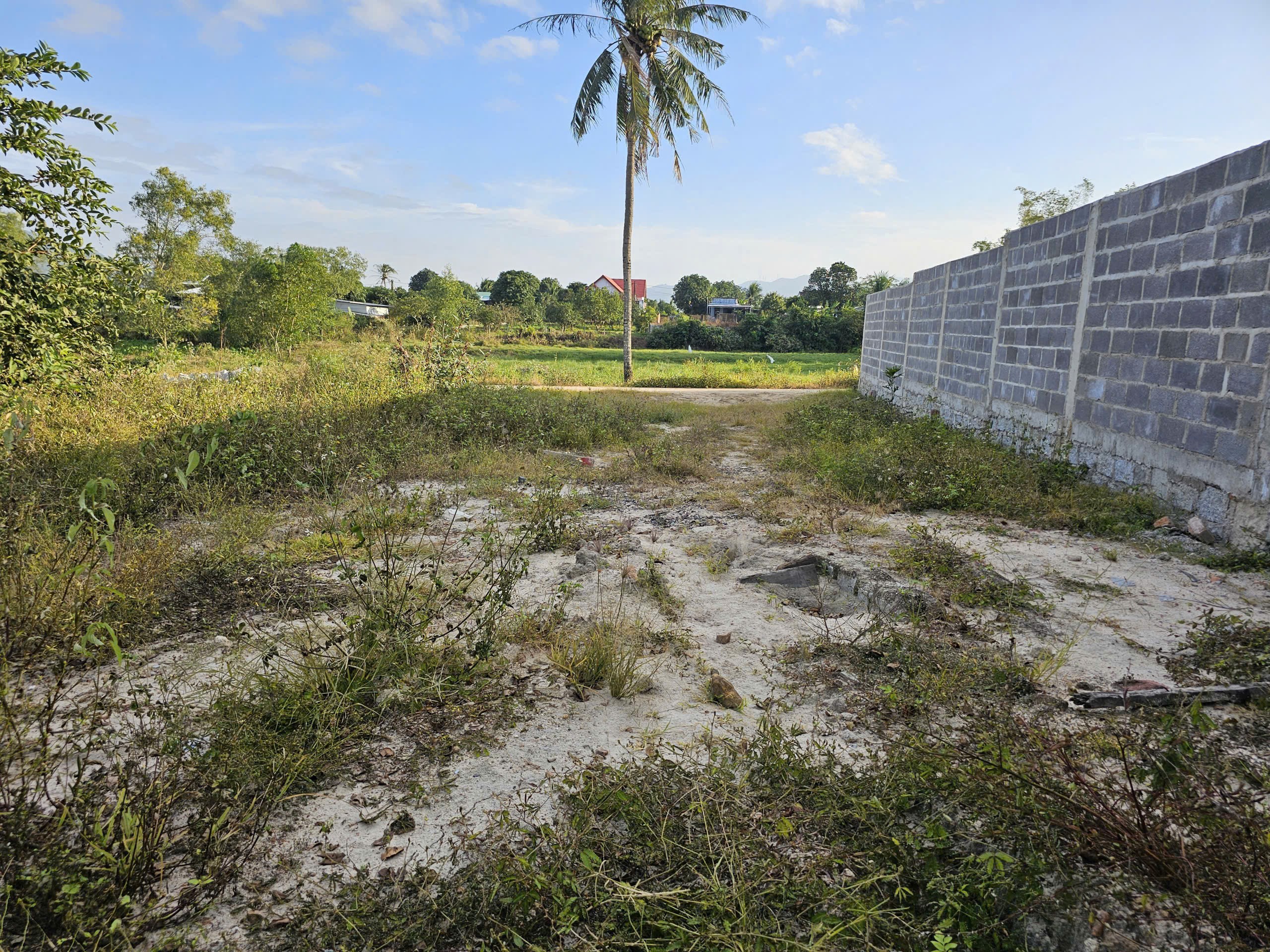Bán đất Suối Tiên giá rẻ gần Hương Lộ 39 - phù hợp phân lô hoặc xây nhà vườn 6