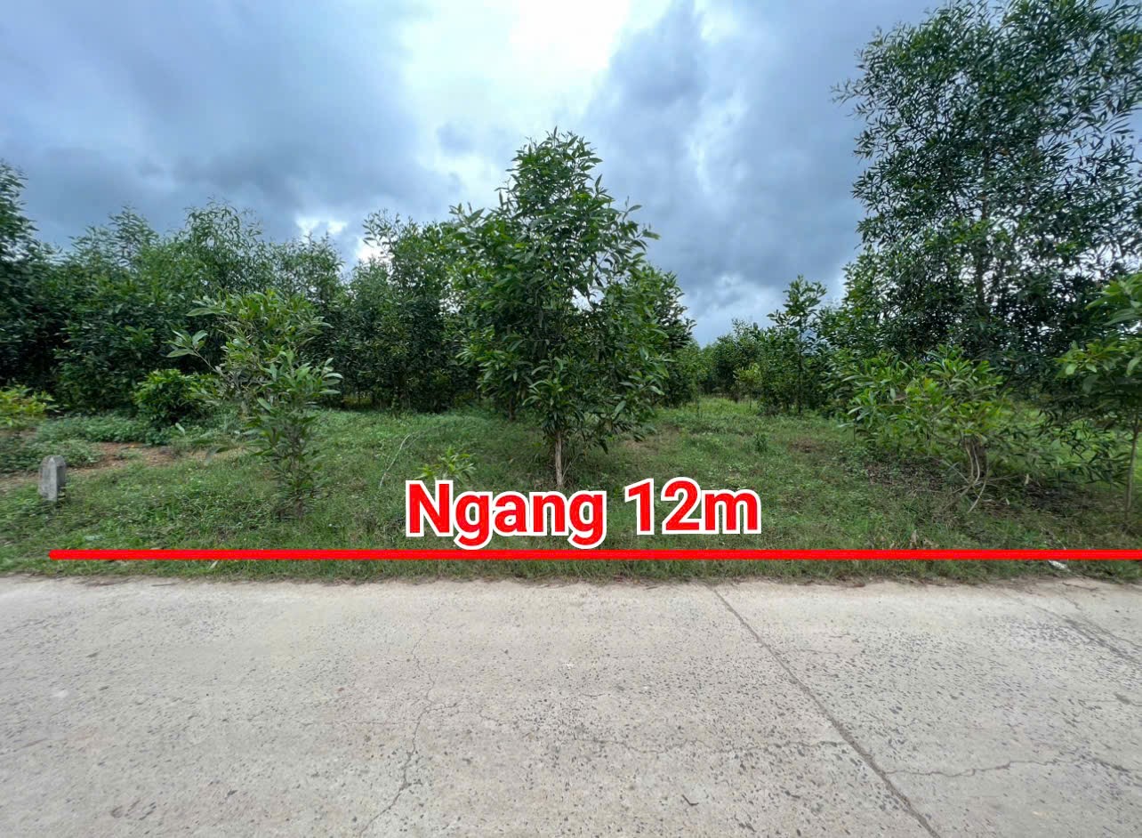 Bán đất vườn Diên Xuân giá rẻ mặt đường bê tông gần chợ gần khu dân cư