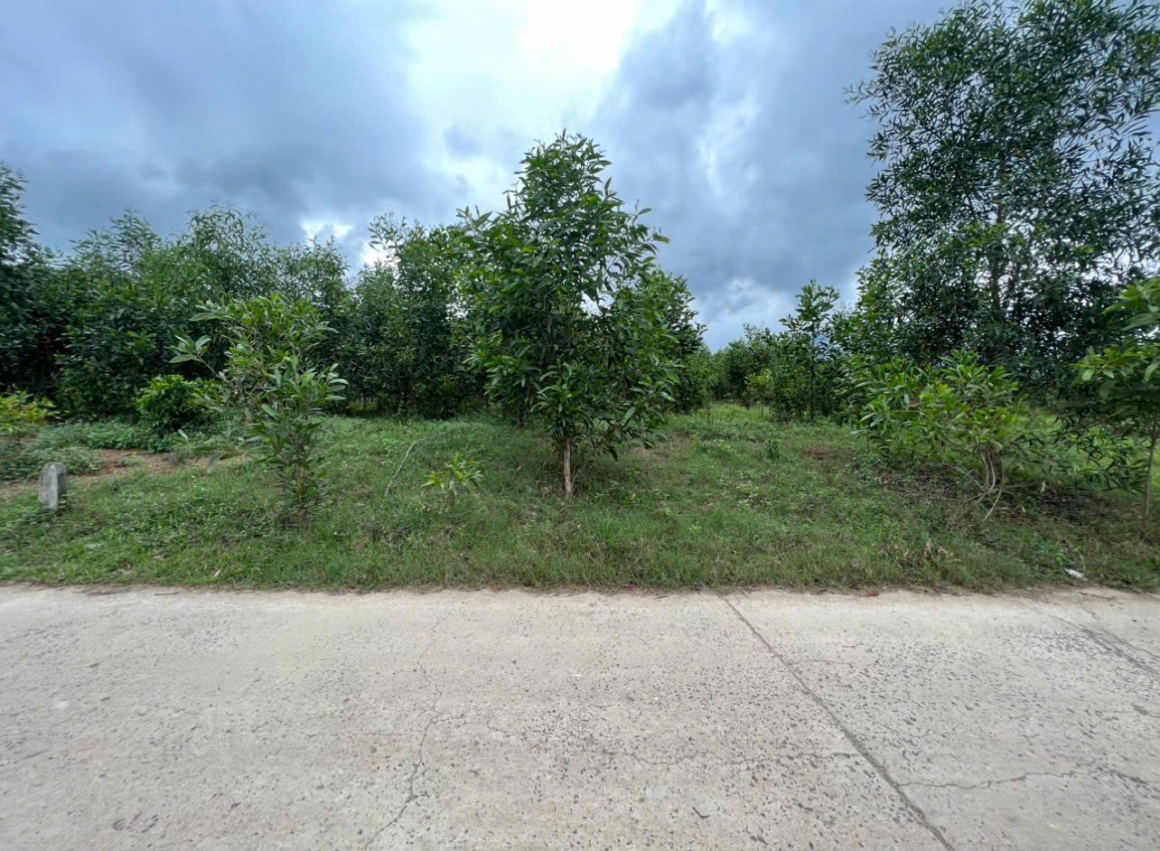 Bán đất vườn Diên Xuân giá rẻ mặt đường bê tông gần chợ gần khu dân cư 2