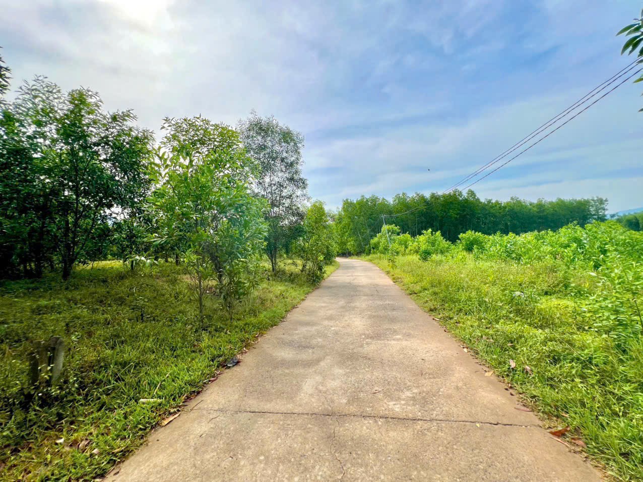 Bán đất vườn Diên Xuân giá rẻ mặt đường bê tông gần chợ gần khu dân cư 4