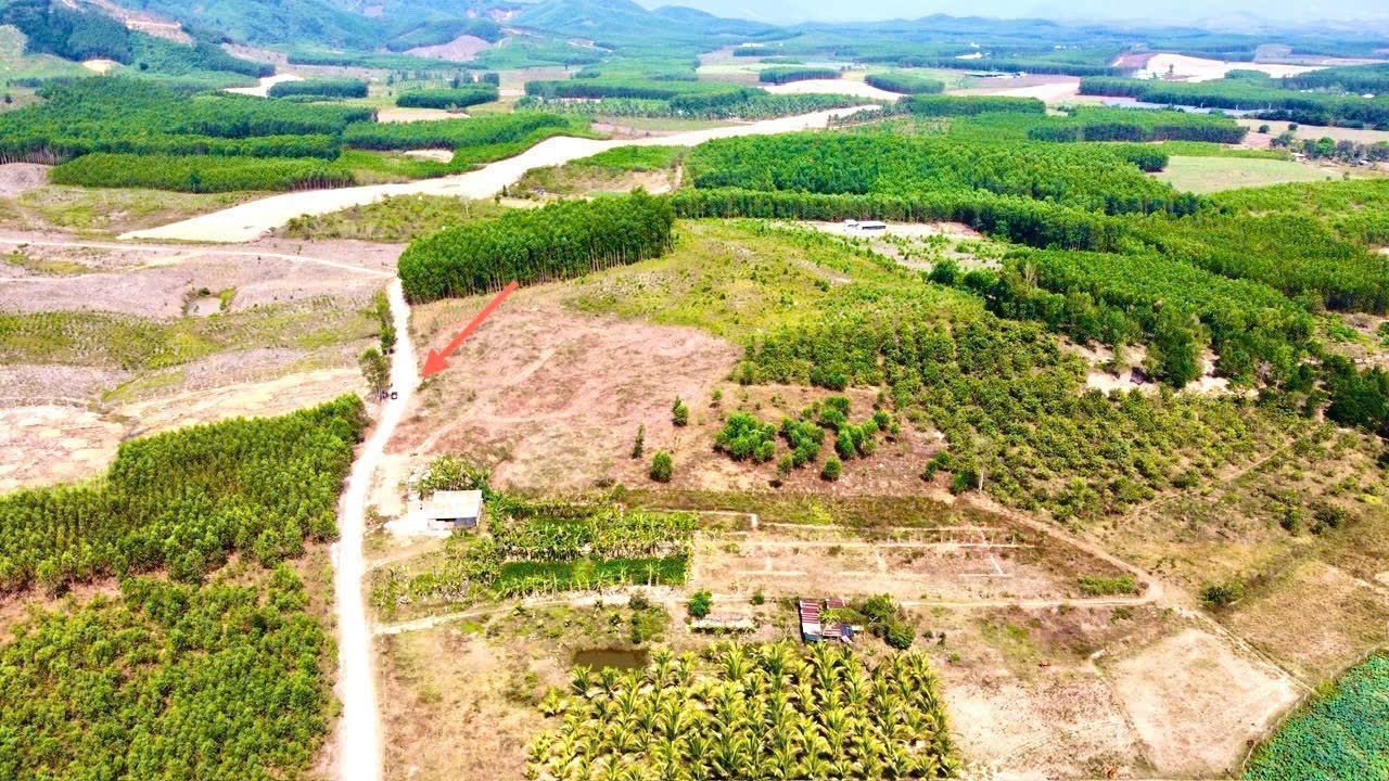 Bán đất vườn Diên Xuân giá rẻ mặt đường bê tông gần chợ gần khu dân cư 5