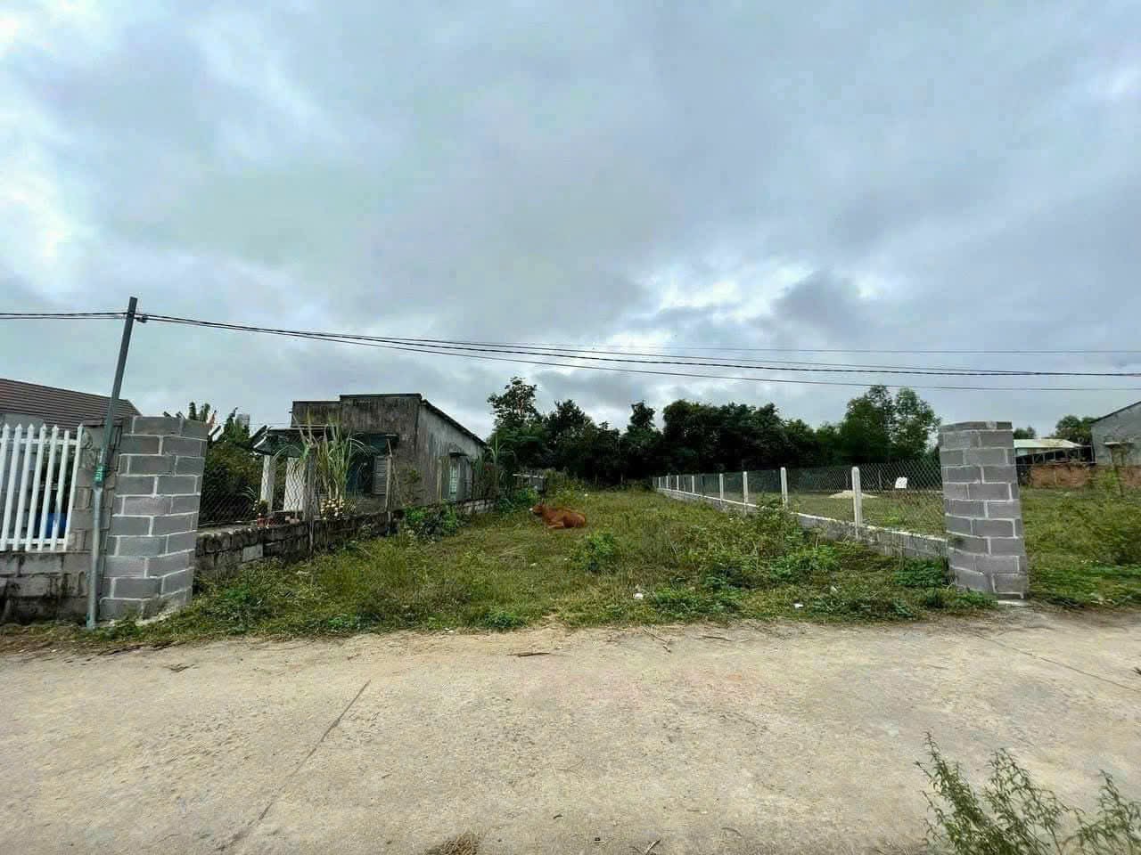 Bán đất Bình Lộc thôn Đảnh Thạnh full thổ cư giá rẻ đường thông - khu dân cư an ninh 2