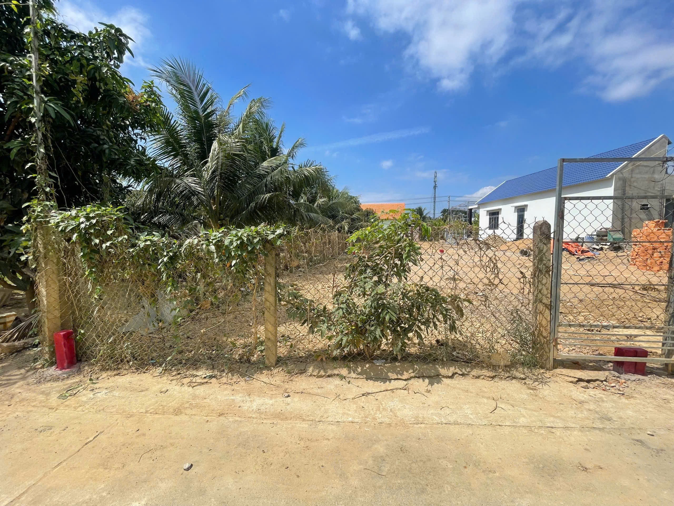 Bán đất Diên An giá rẻ thôn Phú Ân Nam 2 - đất dân cắt bán sổ hồng sẵn 5