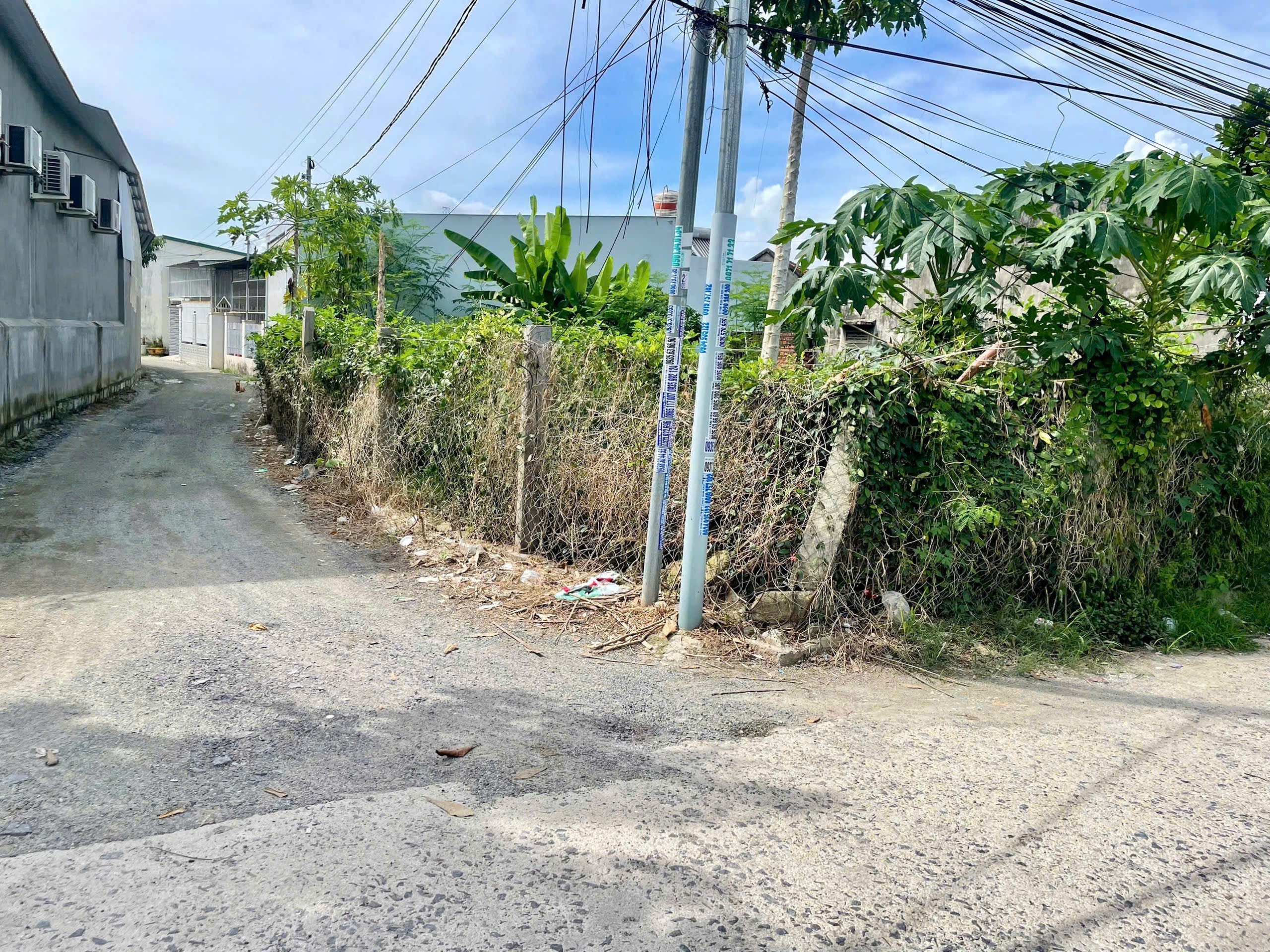 Bán đất Diên Toàn full thổ cư gần chợ Phước Trạch - đường thông oto tận nơi 2