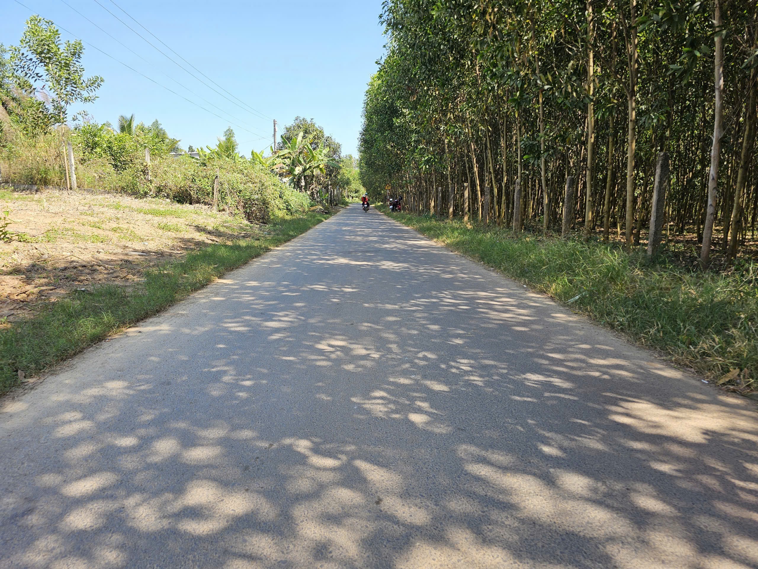 Bán đất Diên Xuân mặt tiền đường nhựa liên xã ngay cổng chào thôn Xuân Tây 2