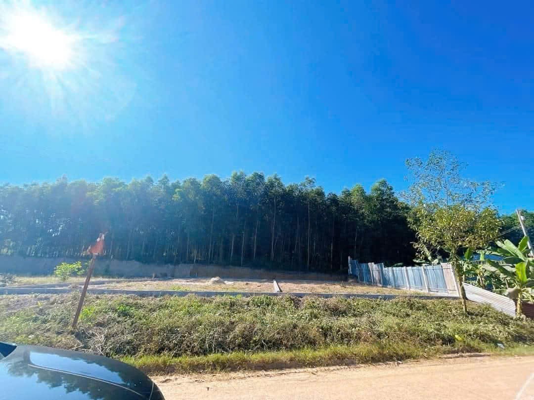 Bán đất Diên Xuân mặt tiền đường nhựa liên xã ngay cổng chào thôn Xuân Tây 6