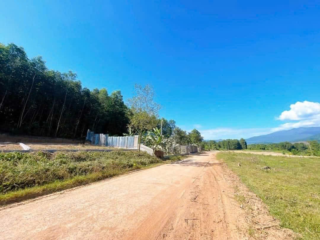 Bán đất Diên Xuân mặt tiền đường nhựa liên xã ngay cổng chào thôn Xuân Tây 7