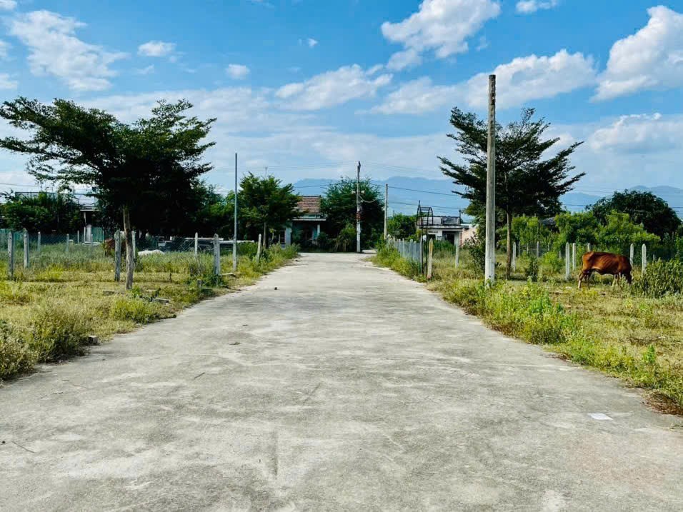 Bán đất Đất Suối Tiên giá rẻ full thổ cư đường rộng 7m oto tránh nhau thoải mái 3