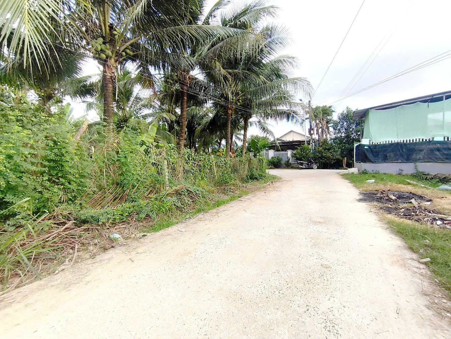 Bán đất Diên Phước mặt đường bê tông 7m gần cây xăng Chắn Giã - lọt lòng khu dân cư 3